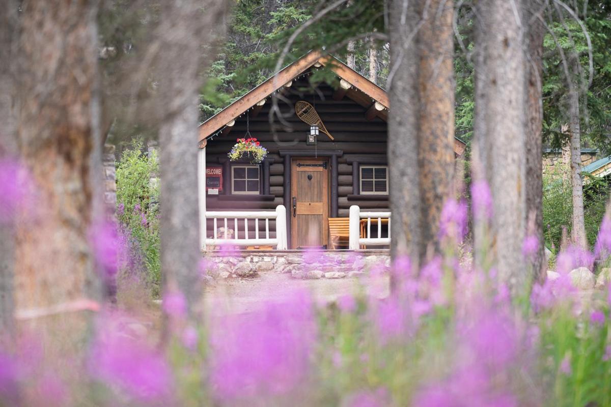 קאסל ג'אנקשן Storm Mountain Lodge & Cabins מראה חיצוני תמונה